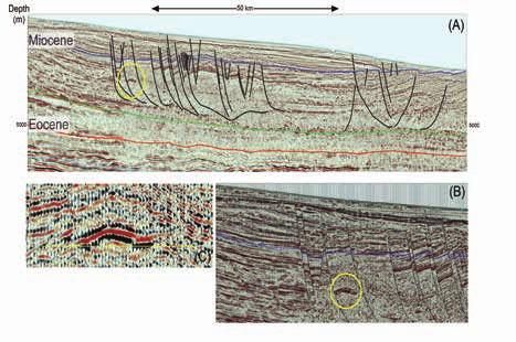 The data indicate a high degree of stratigraphic complexity and multiple higher amplitude intervals.