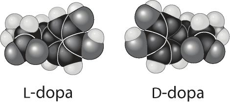 enantiomers, or molecules that A) have identical three-dimensional shapes. B) are mirror images of one another.