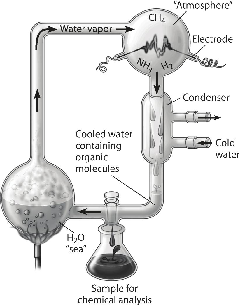5) Which of the following people used this apparatus to study formation of organic compounds?