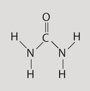 7) Which of the following peopleʹs synthesis of this compound from inorganic starting materials provided evidence against vitalism?