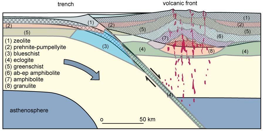 Metamorphic Facies Figure 25.4. Schematic cross-section of an island arc illustrating isotherm depression along the outer belt and elevation along the inner axis of the volcanic arc.
