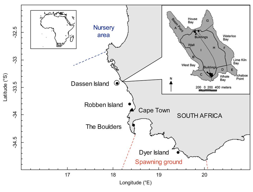 Supplement 1. Additional information on the study and results Fig. S1. Major African penguin colonies (D) in the Western Cape, South Africa.