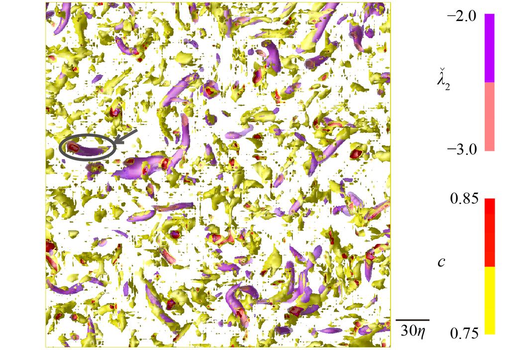 Nakayama, Ohira and Hasegawa, Journal of Fluid Science and Technology, Vol.11, No.1 (2016) Fig. 2 Contours of λ 2 and c where c = 0.75, 0.