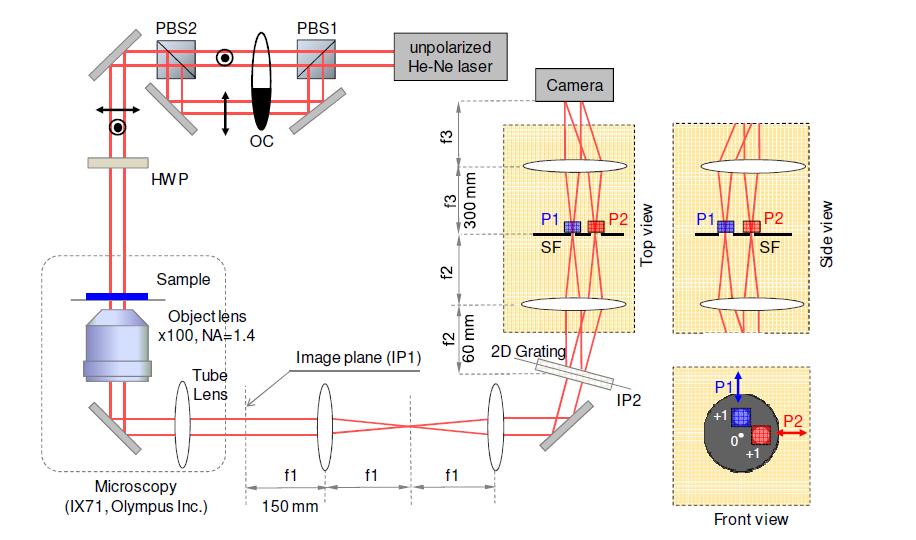 Polarization Holographic Microscop (PHM) for ones Matrix Imaging Figure - xperimental setup for Polarization