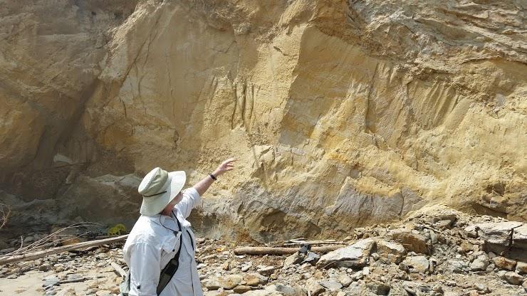 Sequence stratigraphy was another major topic that was observed and discussed in the field, as large volumes of hydrocarbons accumulate in these settings.