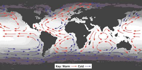 wind-driven circulation large-scale gyres strong currents on