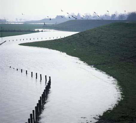 Extreme river discharge 1:1250 year discharge of the Rhine river increases by 5 to 40% due to