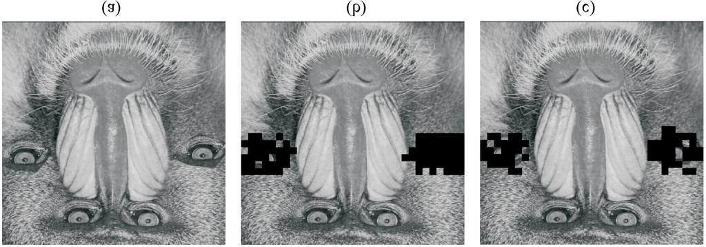 Geometric Invariant Semi-fragile Image Watermarking Using Real Symmetric Matrix 219 Figure 6. (a) Modified Baboon image. (b) Modified areas are detected by proposed method.