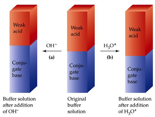 BUFFER SOLUTIONS: When both a weak acid and a conjugate bae are both preent in olution the olution reit change to ph.