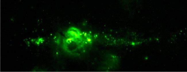 Mid-Infrared View of the Galactic
