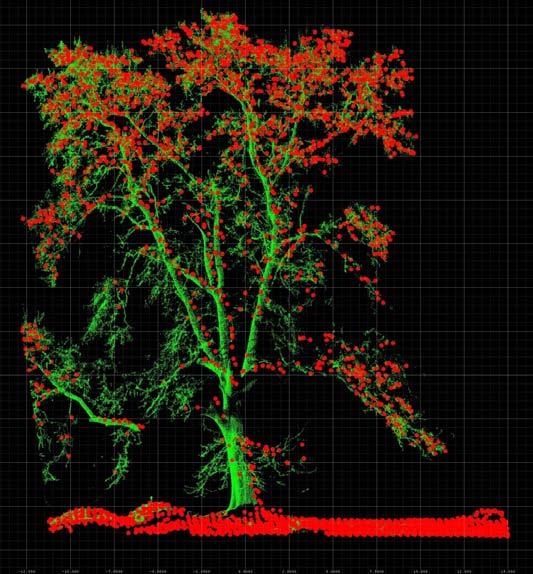 Different sources example Forest inventory data and airborne laser scanning Airborne and