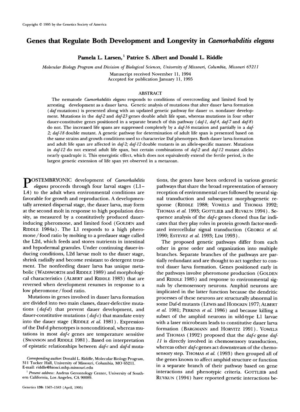 Copyright 0 1995 by the Genetics Society of America Genes that Regulate Both Development and Longevity in Caenorhabditis elegans Pamela L. Larsen,' Patrice S. Albert and Donald L.