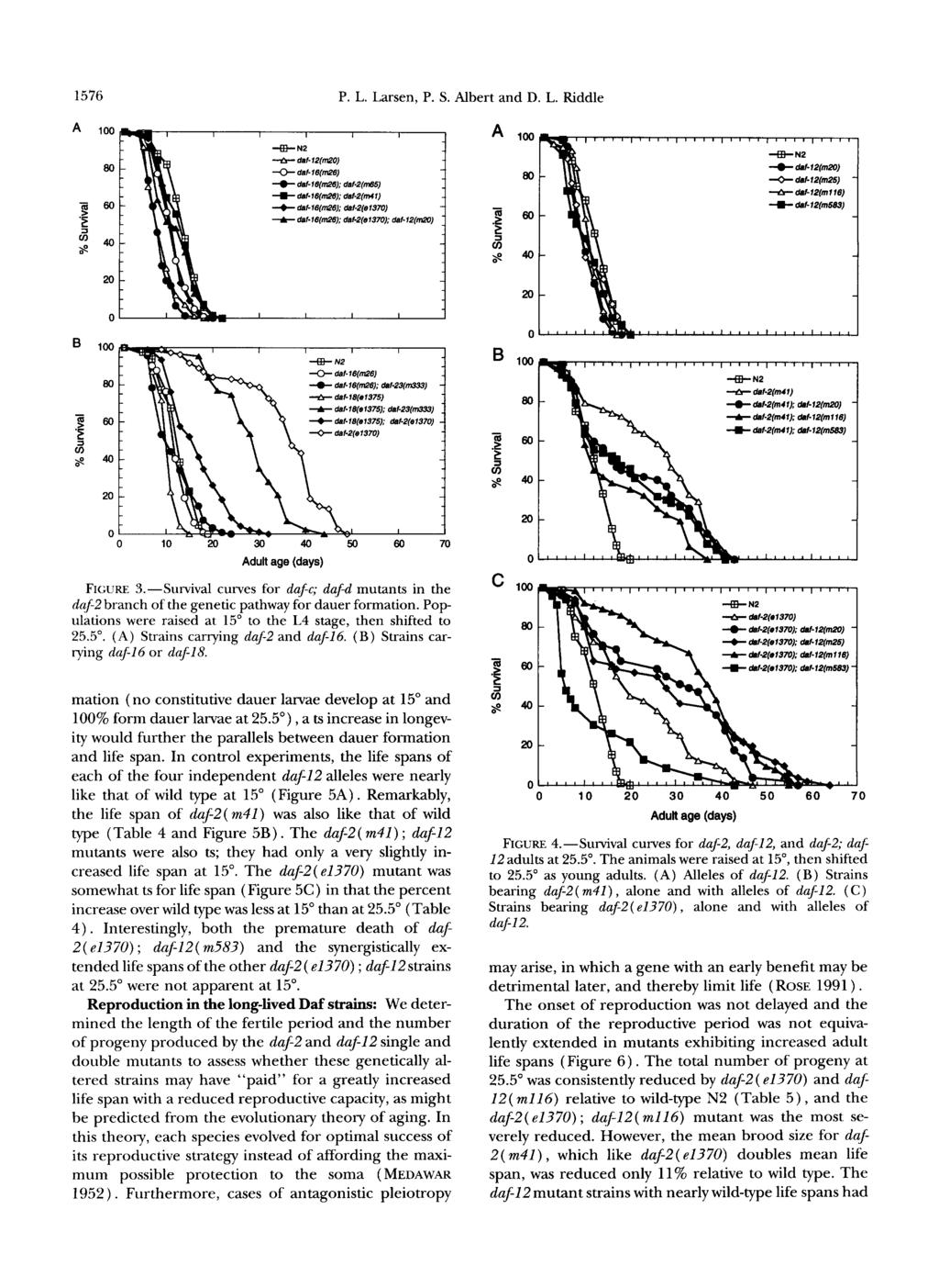 1576 P. L. Larsen, P. S. and Albert D. L. Riddle Adult age (days) FIGURE J.--Survival curves for daf-c; dafd mutants in the duf-2 branch of the genetic pathway for dauer formation.