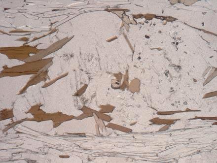 (a) Sample LK76: plagioclase porphyroblast enclosing staurolite, biotite and phengite.