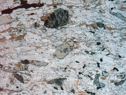 (2005b)] is overgrown by staurolite but curves around garnet.
