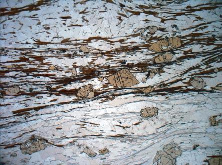 JOURNAL OF PETROLOGY VOLUME 46 NUMBER 10 OCTOBER 2005 Fig. 4. Photomicrographs of thin sections providing an overview of progressive stages of the Alpine metamorphism.