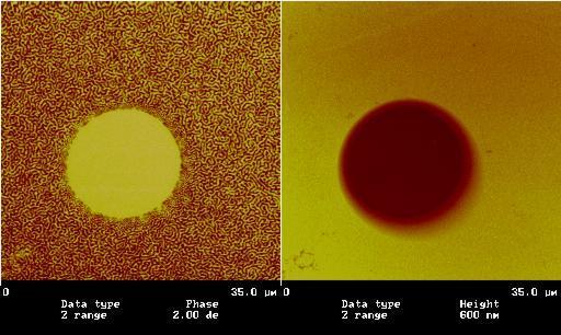 Example of an MFM for electro-deposited Ni film on Cu (100). left ( magnetic stray field), Right (surface topography).