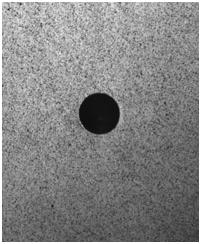 P P (a) (b) Fig..7.7 (a) Speckle pattern near the hole of Baseline laminate (b) Longitudinal strain profile of 3D model near the hole of baseline laminate at 70.