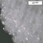 a) b) Figure 3: TEM pictures of studied sample: a) initial sample: aggregates constituted of 4.