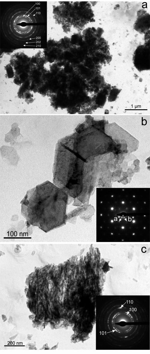10954 Langmuir, Vol. 21, No. 24, 2005 Rodriguez-Navarro et al. µm in length) crystals were also observed, with planar, hexagonal habit (Figure 4d).