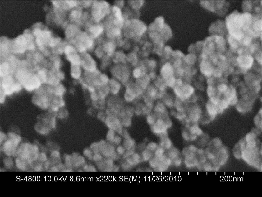 The SEM images of SnO 2 calcined at 8 The TEM photograph of the oxide SnO 2 is given in Fig.3 and the SEM image shows on Fig.4.