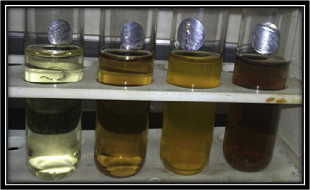 Journal of Radiation Research and Applied Sciences xxx (2015) 1e7 3 Fig. 1 e Change in colour of the solution with time when silver salt was added to Neem leaf broth.