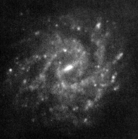 Barred spirals M91, NGC4548 type SBb in Coma