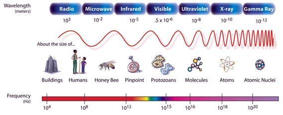 use of different parts of spectrum visible infrared microwave Electromagnetic spectrum NASA: Echo the bat divided into different