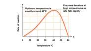 Temperature effects on shelf life Q Temperature Shelf Life ( o C) 0 3 30 20 2 15 30 1.