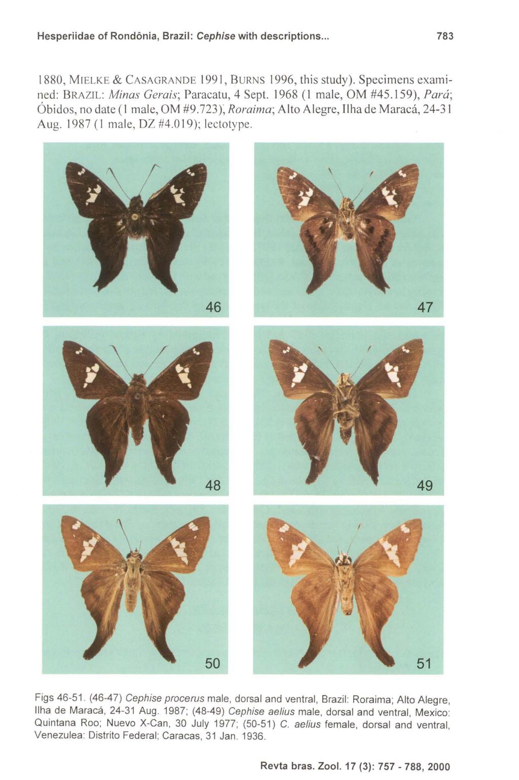 Hesperiidae of Rondonia, Brazil: Cephise with descriptions... 783 1880, MIELKE & CASAGRANDE 1991, B URNS 1996, this study). Specimens examined: BRAZIL: Minas Gerais; Paracatu, 4 Sept.