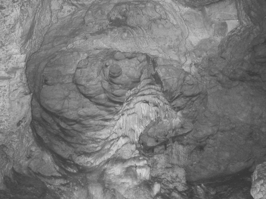 S cieľom potvrdiť predkvartérny vek skúmaných jaskynných sedimentov viacerými geochronologickými metódami sa navyše zabezpečila peľová analýza sintrových kôr, ktorú vykonala dr.