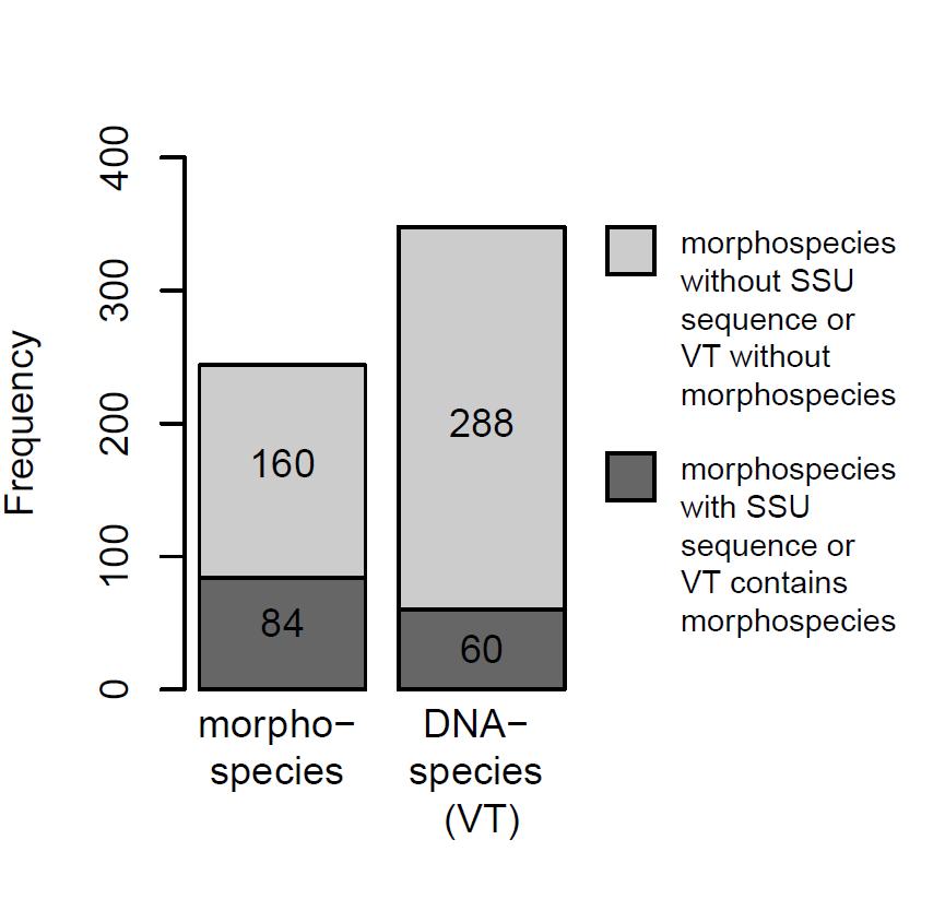 Morphological vs sequence-based species diversity? Number of MOTUs c.