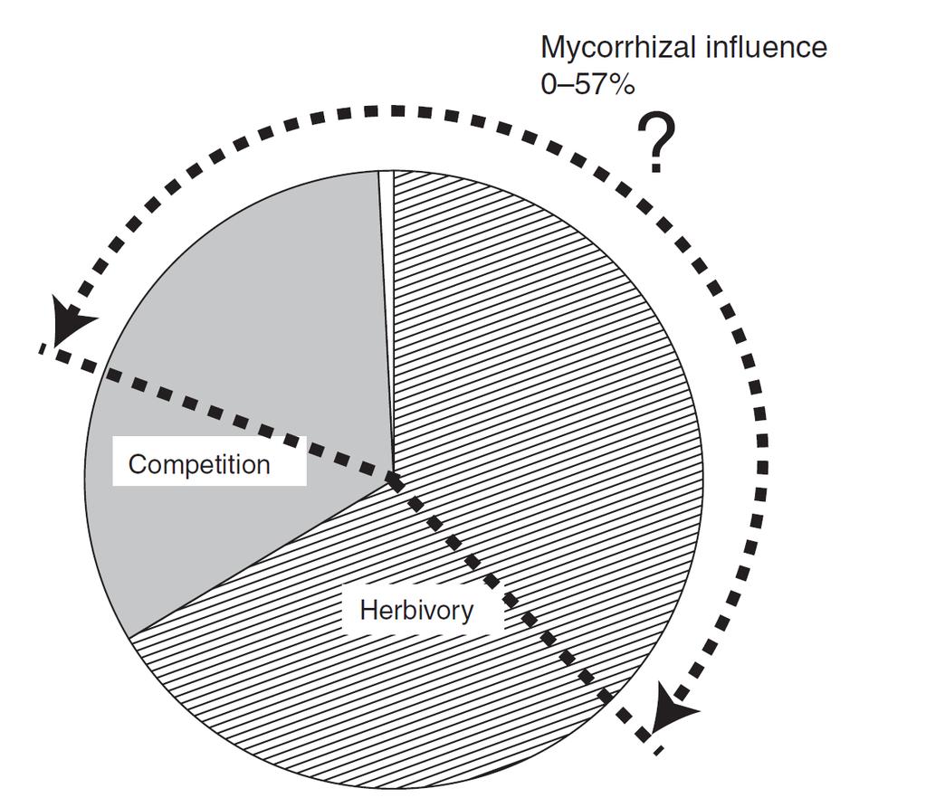 Mycorrhiza could explain 0-57% of variatnce in plant