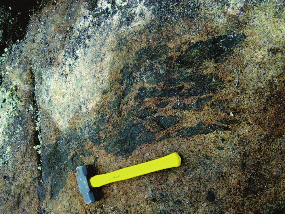 Where the rock still contains an igneous texture, a primary foliation is defined by the alignment of feldspar megacrysts.