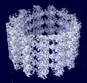 Microtubules are cylinders made of tubulin of about 25 nm in diameter most commonly comprised of 13 protofilaments 25 nm They have a very dynamic behaviour, binding GTP for polymerization.