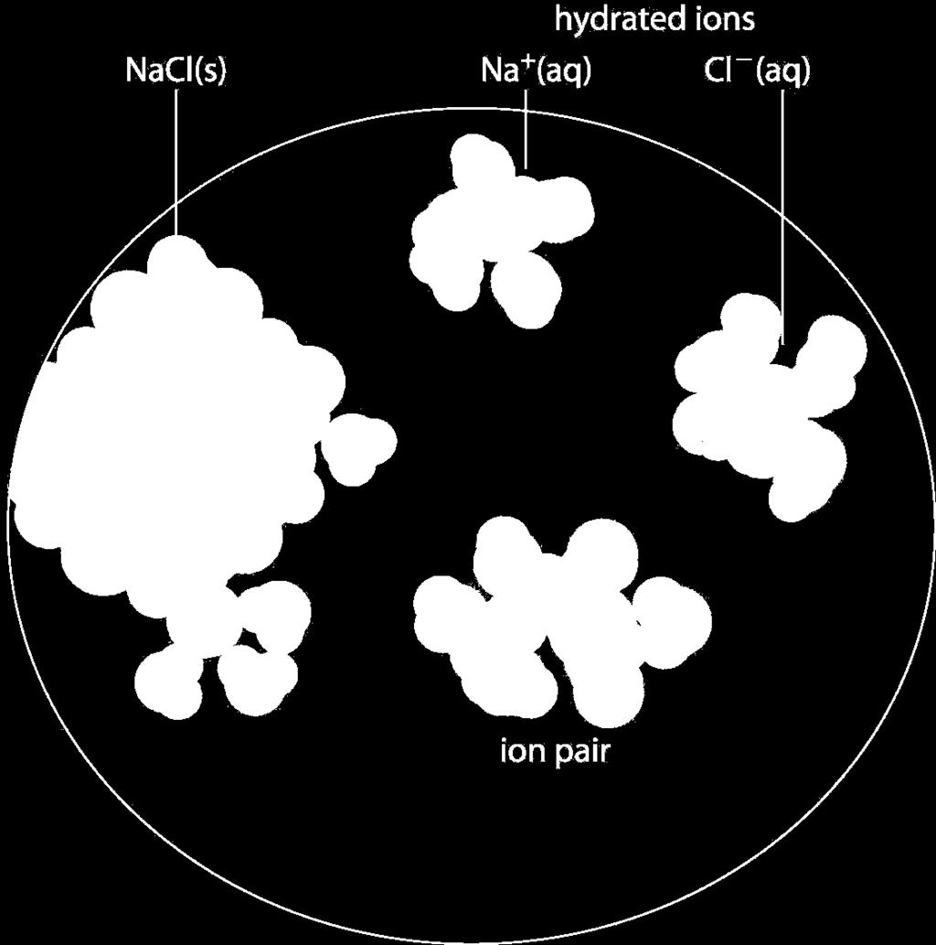 Ion-dipole interactions Polar molecules are attracted to