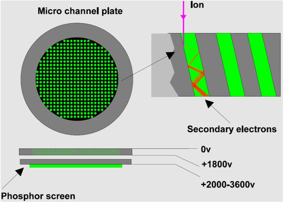 Ion Detector - 2 Source: R3 Micro-Channel Plate (MCP) consists of an array of miniature electron multipliers.