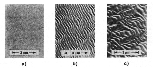 Microtopography Source: R1 Surface topography may be the property of the original sample surface or changed by ion bombardment.