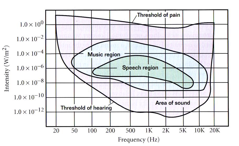 test your cell phone other species own hearing ring tone hearing spectrum oudness Depends primarily on amplitude (and slightly on frequency) of the source of sound.