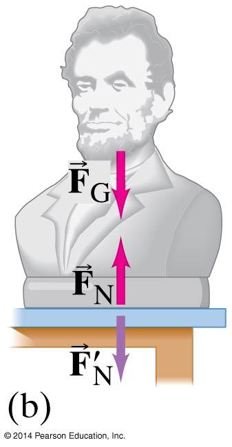 Weight the Force of Gravity; and the Normal Force Weight is the force exerted on an object by gravity.