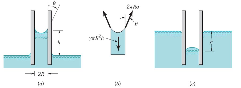 Example of Surface Tension Non-Wetting Wetting Figure 1.8 (p.