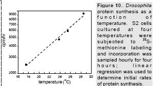 Dpp Synthesis Rate as a Function of