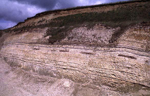 Thick deposits of limestones
