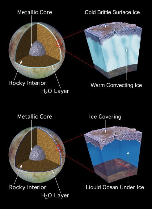 From the low density of the moon, the amount of water must be large: at least 100 km thick.