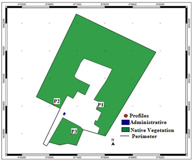 Figure 1. Map of location of soil profiles of experimental farm "Rafael fernandes". Physical analyzes of the ADGS were performed with three replications.