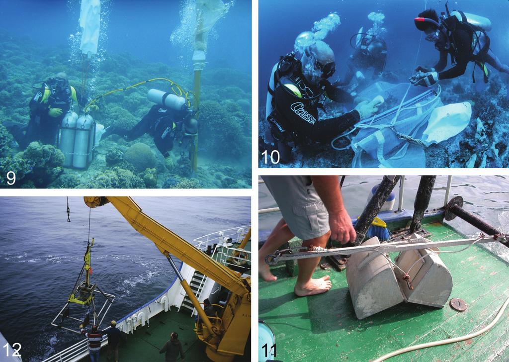 Dworschak: Methods collecting Axiidea and Gebiidea (Decapoda): a review 15 Figs 9 12: 9, airlift sampler, Panglao, Philippines (photo: Panglao 2004 Marine Biodiversity Project); 10, brushing,