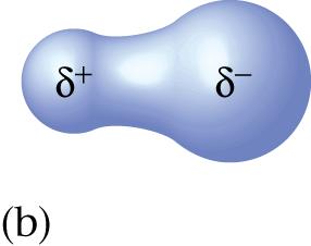 Polar covalent bonds establish dipole moments - a charge