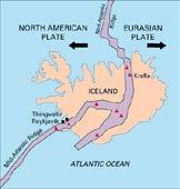 8 th Grade Science Winter Activities Name: Section Actions at Plate Boundaries - Plate Tectonics SC.7.E.6.