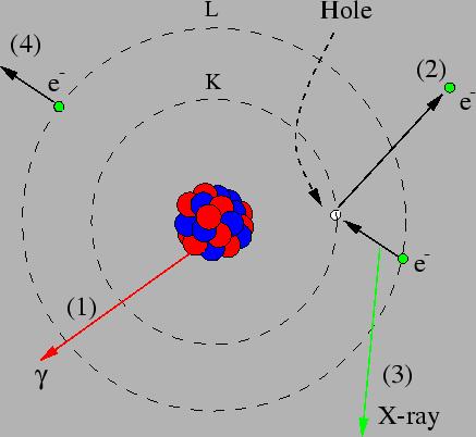 Internal Conversion Rather than emit a gamma- ray the nucleus can transfer energy to one