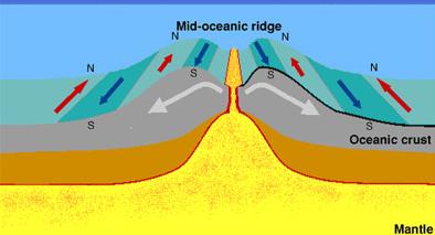 Divergent Boundaries: Are formed where the plates diverge or move apart. Create mid ocean ridges, new land, or can produce volcanoes on land.